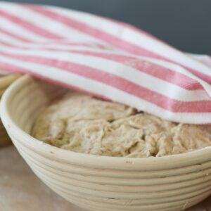 bulk proofing sourdough low carb bread