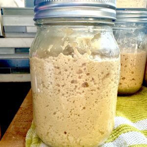 Sinless Sourdough Starter