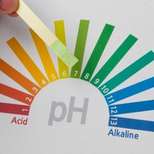 pH of spring water