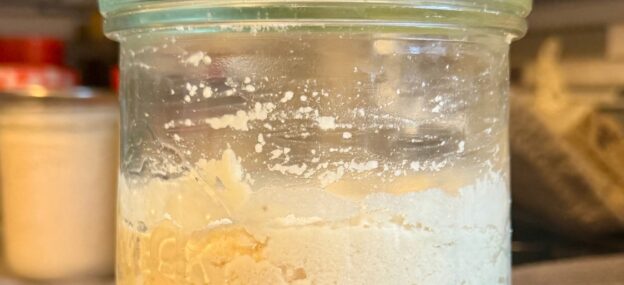 Almond Flour & Coconut Flour Starter