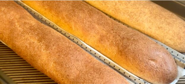 Lifestyle Lina Sub Buns