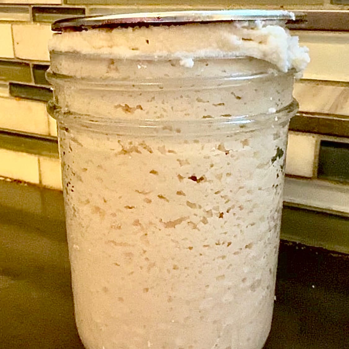 Starter fed with blanched almond flour and coconut flour